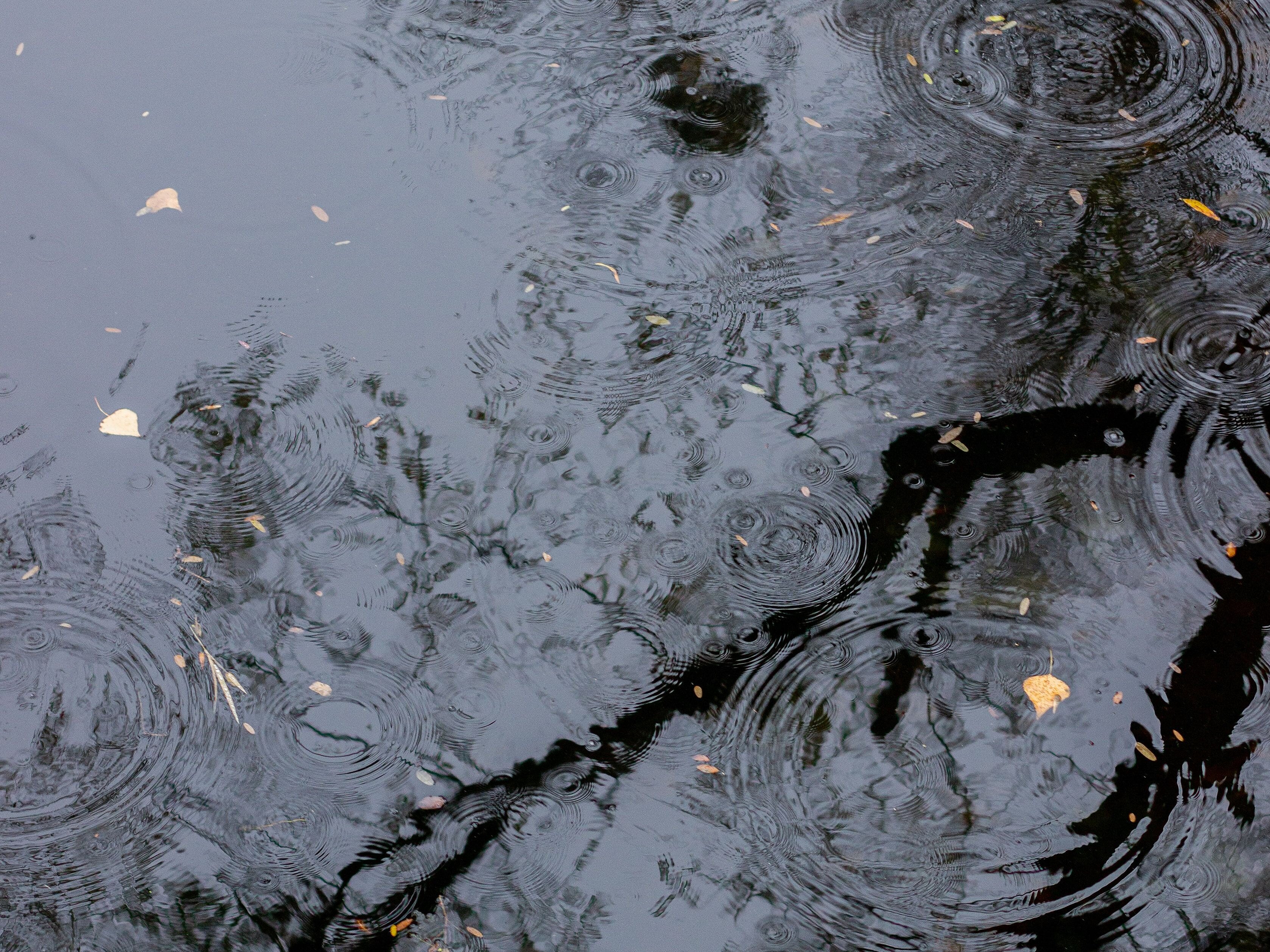 Wasser, Regen