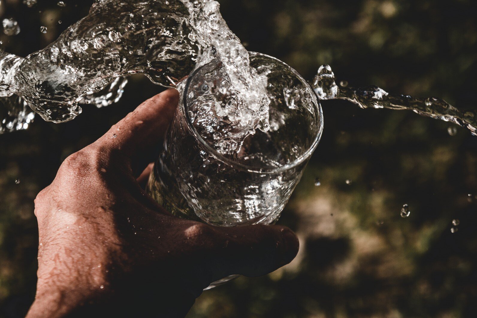 Foto: Anderson Rian auf Unsplash