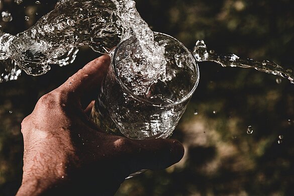 Foto: Anderson Rian auf Unsplash
