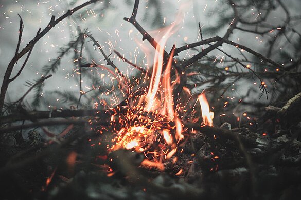 Foto: Gleb Lukomets auf Unsplash