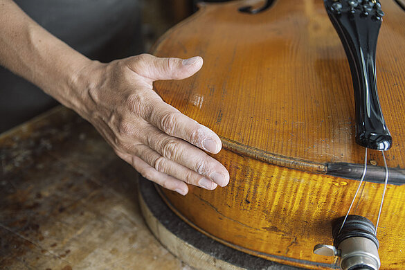 Violoncello