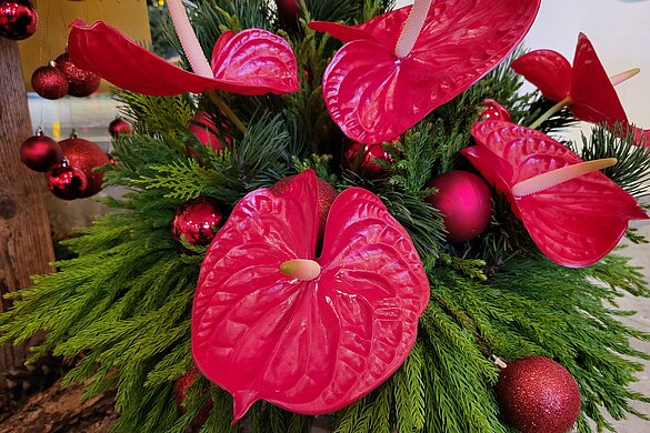 Festgottesdienst zum Neujahrstag